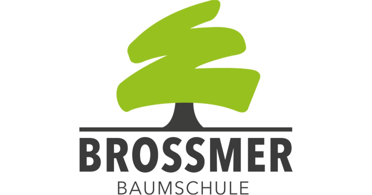 Brossmer Logo
